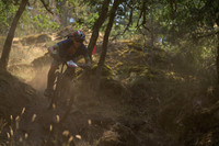 BCBR23_3_0318_DS