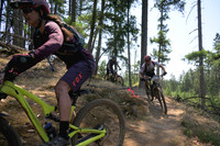 BCBR23_3_0401_DS