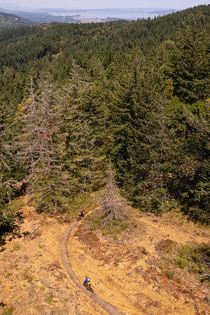 BCBR23_3_0257_DS