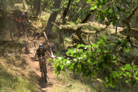 BCBR23_3_0271_DS