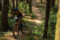 BCBR23_4_0018_DS