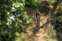 BCBR23_3_0288_DS