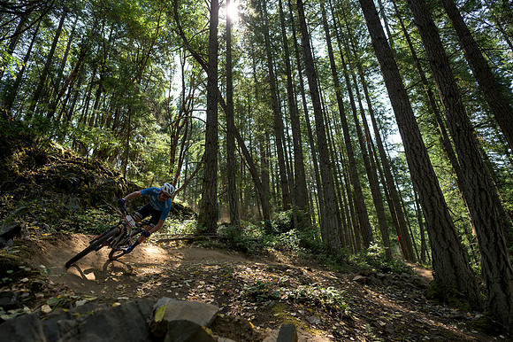 BCBR23_0_0083_DS