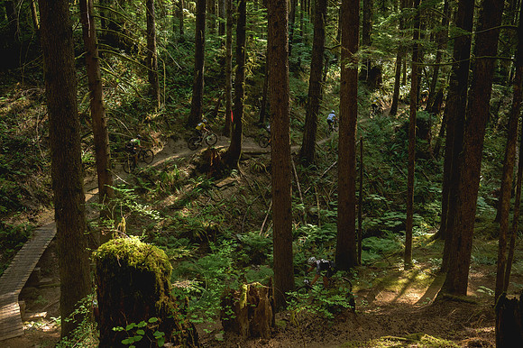 BCBR23_6_0118_DS