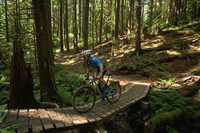 BCBR23_6_0005_DS
