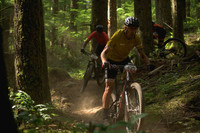 BCBR23_6_0063_DS