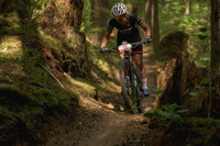 BCBR23_6_0104_DS