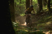 BCBR23_6_0072_DS