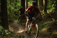 BCBR23_6_0059_DS