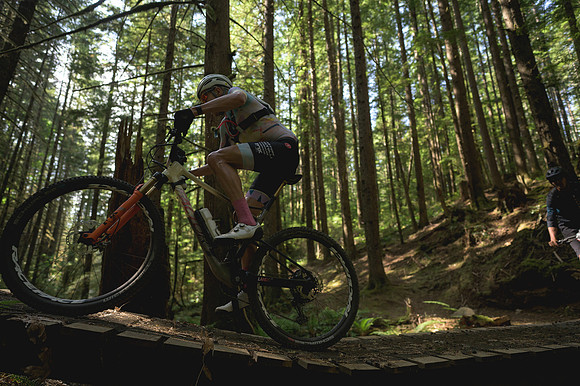 BCBR23_6_0018_DS