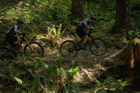 BCBR23_6_0039_DS