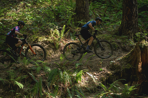 BCBR23_6_0039_DS