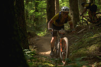 BCBR23_6_0078_DS