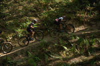 BCBR23_6_0099_DS