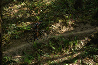 BCBR23_6_0020_DS