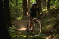 BCBR23_6_0083_DS