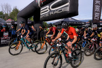 BCBR22_1_0067_DS