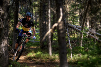 BCBR22_5_0108_DS