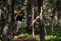 BCBR22_5_0115_DS