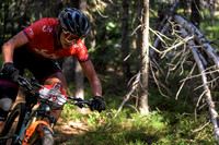 BCBR22_5_0081_DS