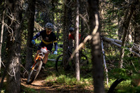 BCBR22_5_0116_DS