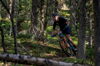 BCBR22_5_0022_DS