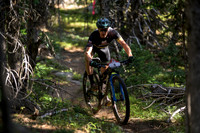 BCBR22_5_0007_DS