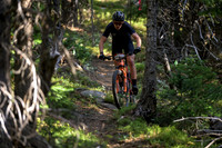 BCBR22_5_0009_DS
