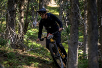 BCBR22_5_0017_DS