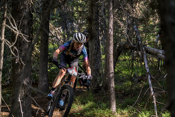 BCBR22_5_0090_DS