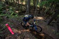 BCBR22_2_0024_DS