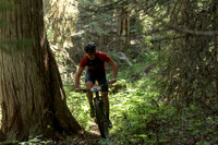 BCBR22_2_0038_DS