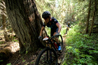 BCBR22_2_0052_DS