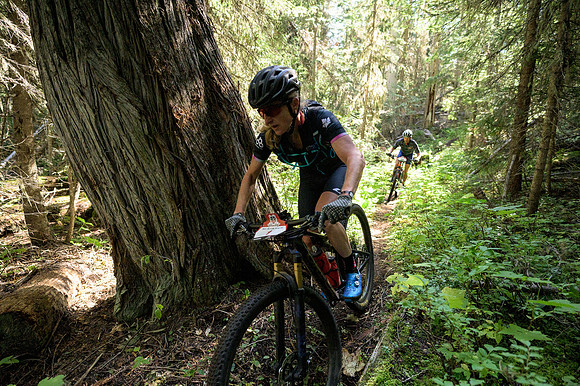 BCBR22_2_0052_DS