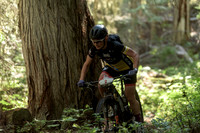 BCBR22_2_0062_DS