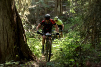 BCBR22_2_0039_DS