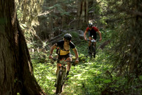 BCBR22_2_0035_DS