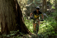 BCBR22_2_0043_DS