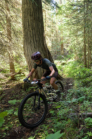 BCBR22_2_0073_DS
