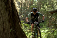BCBR22_2_0030_DS