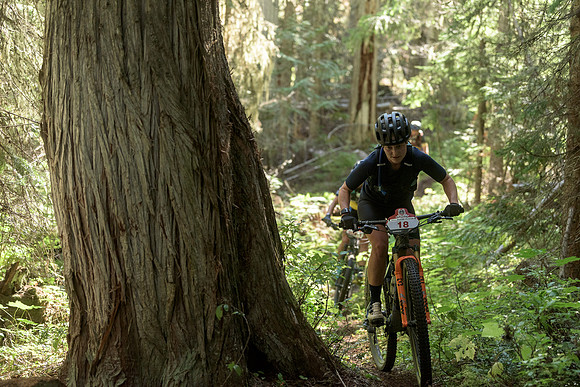 BCBR22_2_0085_DS