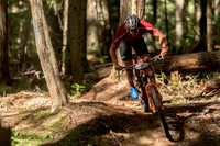 BCBR22_3_0046_DS