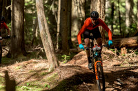 BCBR22_3_0041_DS