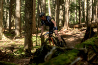 BCBR22_3_0045_DS