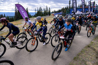 BCBR22_3_0035_DS