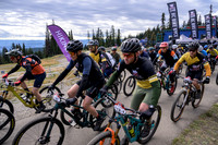 BCBR22_3_0037_DS