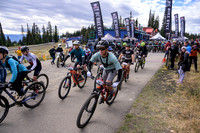 BCBR22_3_0039_DS