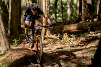 BCBR22_3_0043_DS