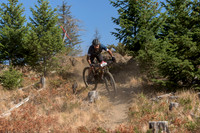 BCBR22_4_0095_DS