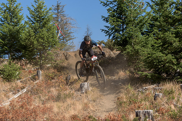BCBR22_4_0095_DS